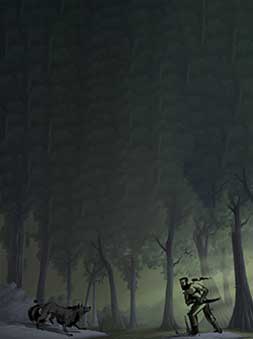 Where the Jungle Ends