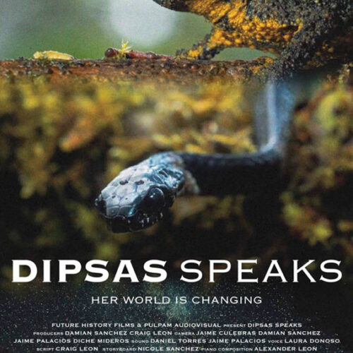 Dipsas Speaks