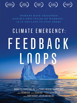 Climate Emergency: Feedback Loops