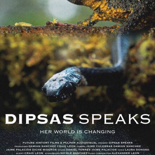 Dipsas Speaks