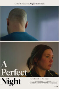 A Perfect Night