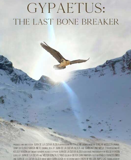 Gypaetus: The Last Bone Breaker