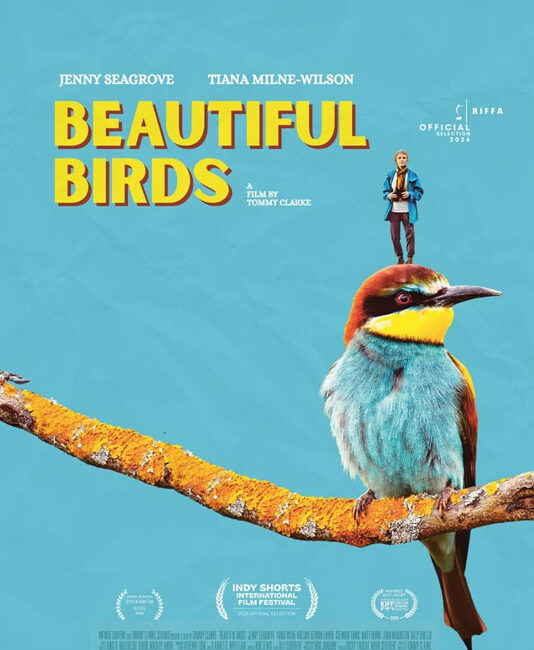 Beautiful Birds