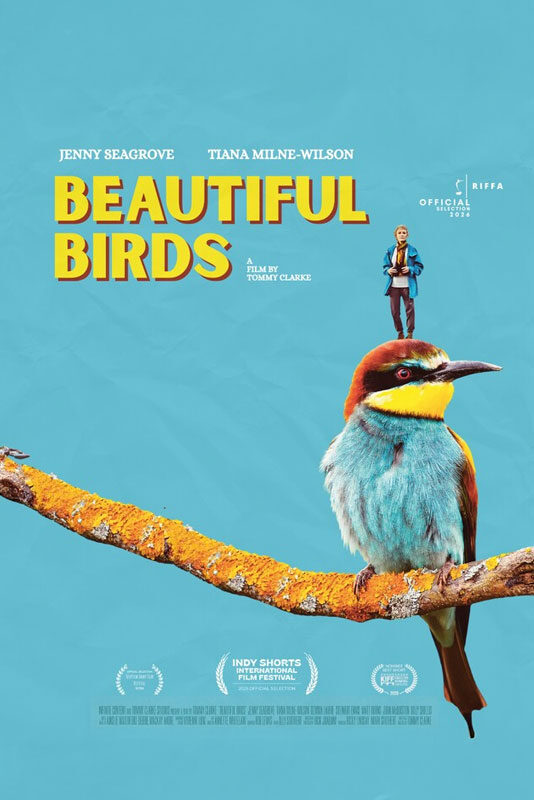 Beautiful Birds